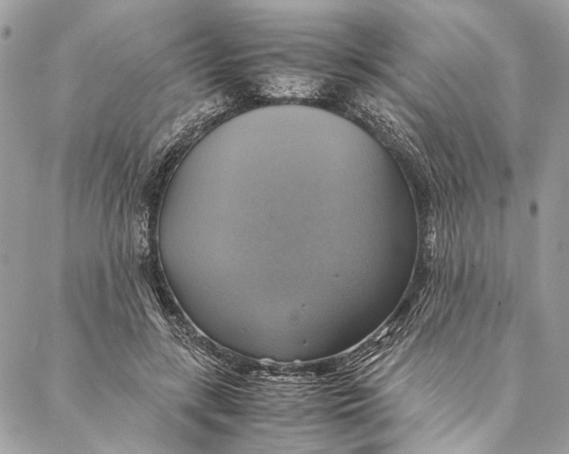 X0000086940547200705071421