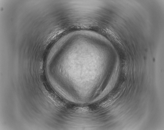 X0000086940548200705071421