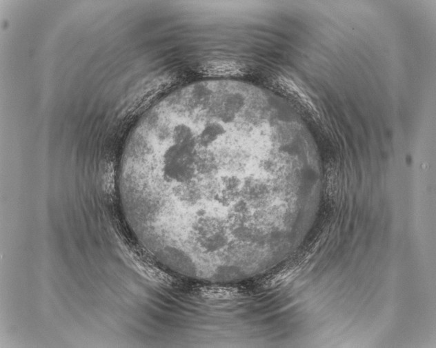 X0000086940549200705071421