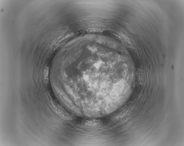 X0000086940550200705071421