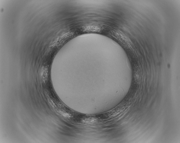 X0000086940551200705071421