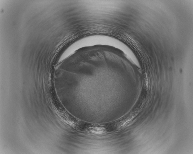 X0000086940552200705071421