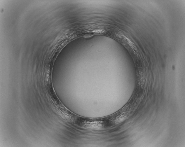 X0000086940553200705071421