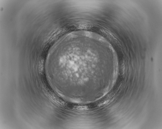 X0000086940554200705071421