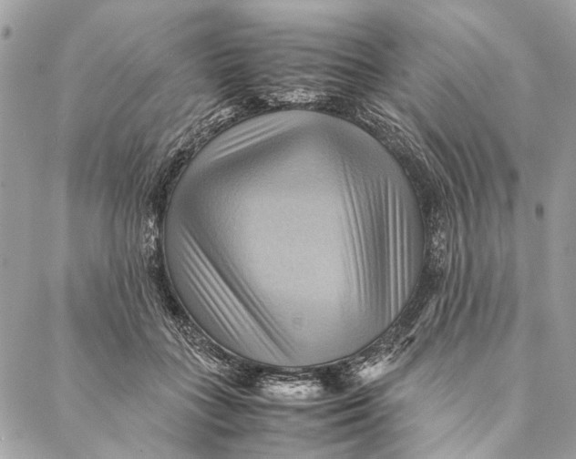 X0000086940555200705071421