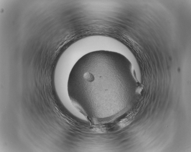 X0000086940556200705071421