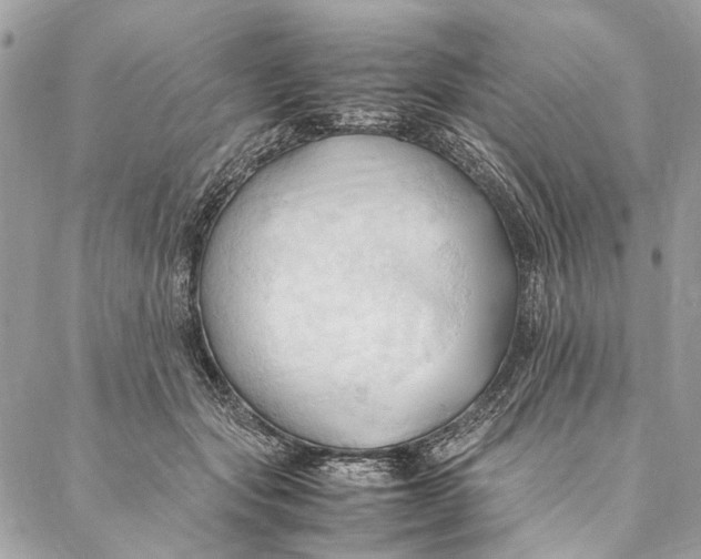 X0000086940557200705071421