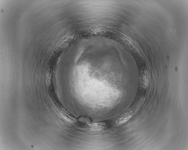 X0000086940558200705071421