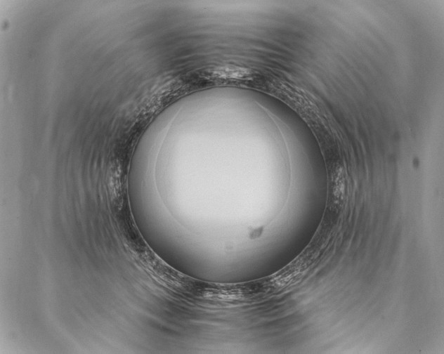 X0000086940559200705071421