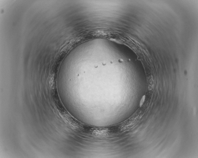 X0000086940560200705071421