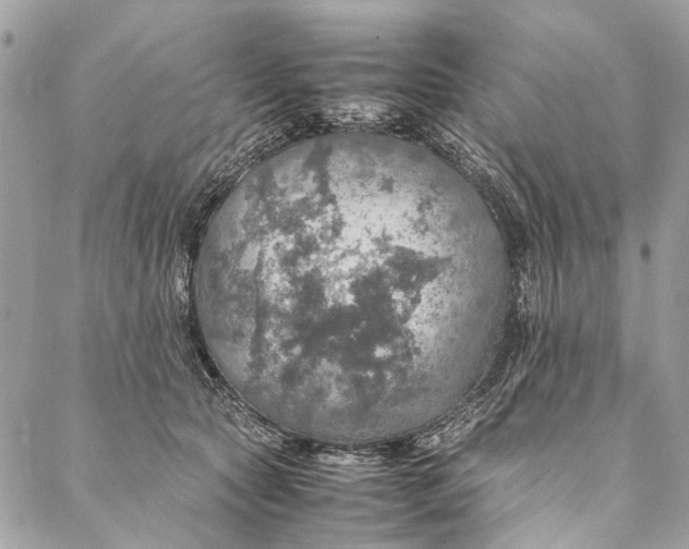 X0000086940561200705071421