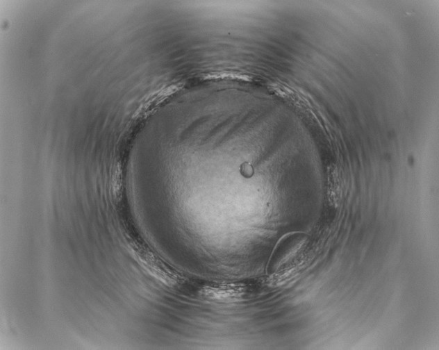 X0000086940563200705071421