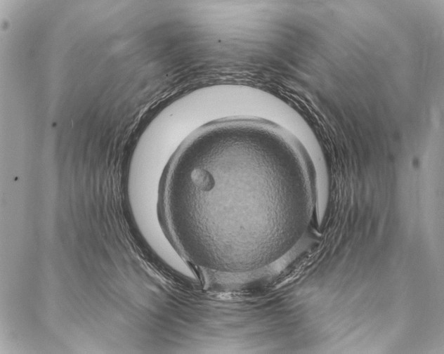 X0000086940564200705071421