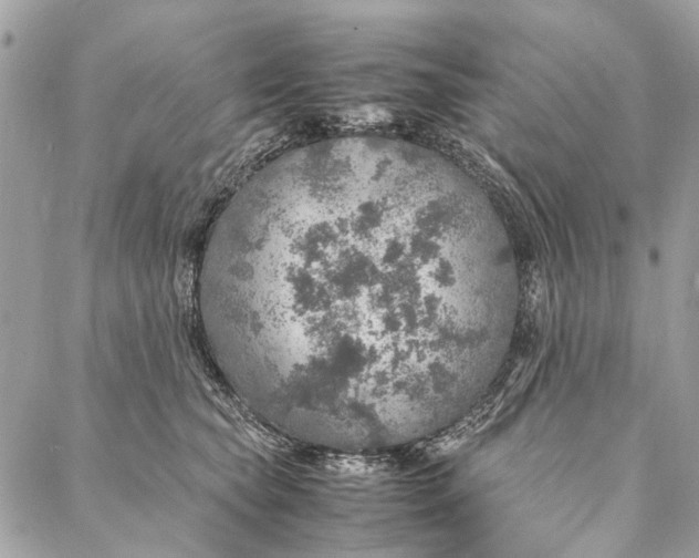 X0000086940565200705071421