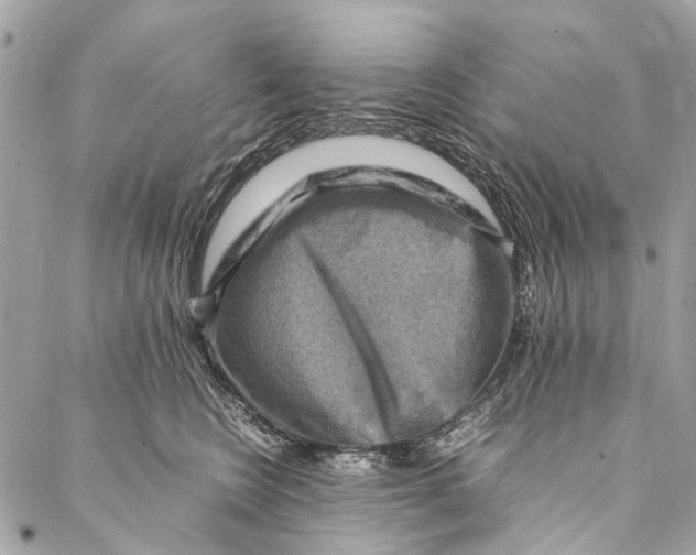 X0000086940566200705071421