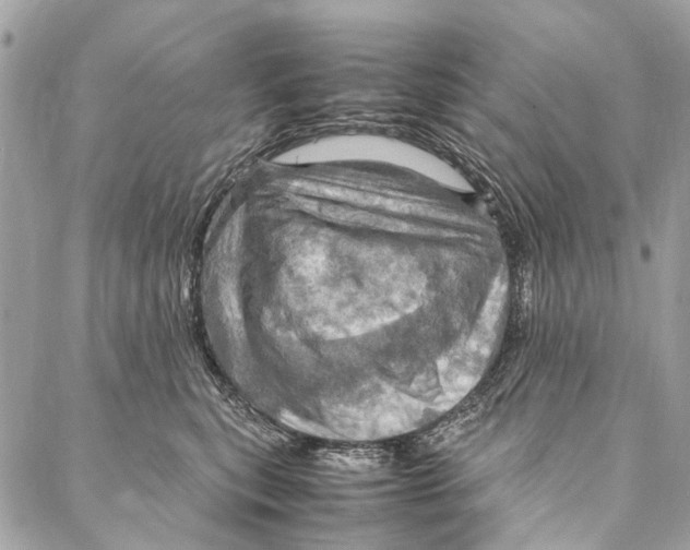 X0000086940567200705071421