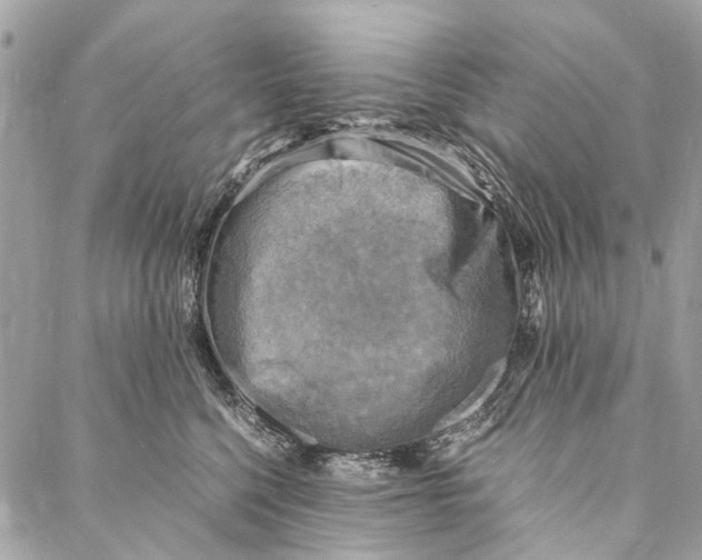 X0000086940568200705071421