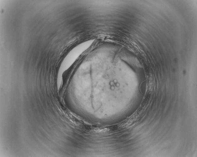 X0000086940569200705071421