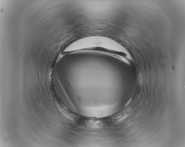 X0000086940570200705071421