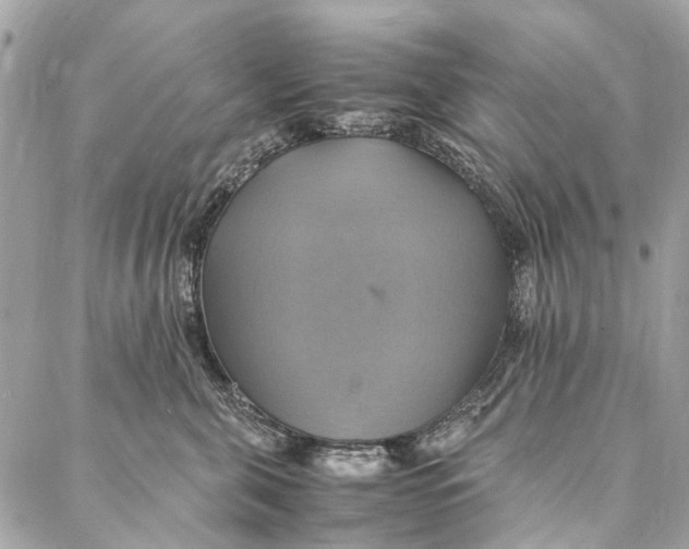 X0000086940571200705071421