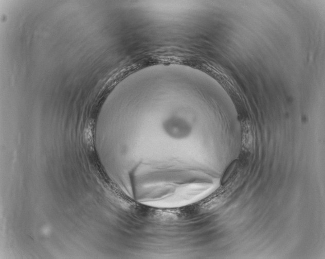 X0000086940573200705071421