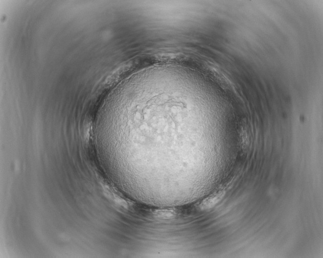 X0000086940574200705071421