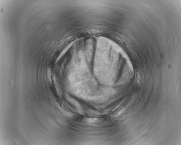 X0000086940575200705071421