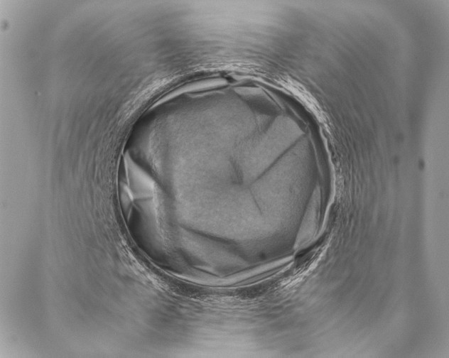 X0000086940577200705071420