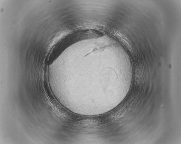 X0000086940578200705071420