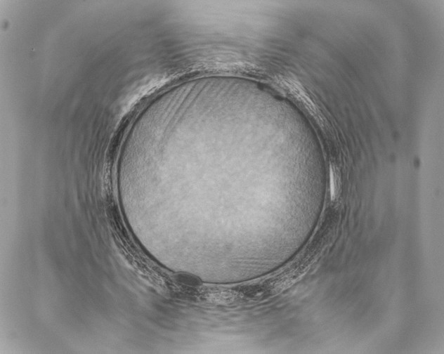 X0000086940579200705071420