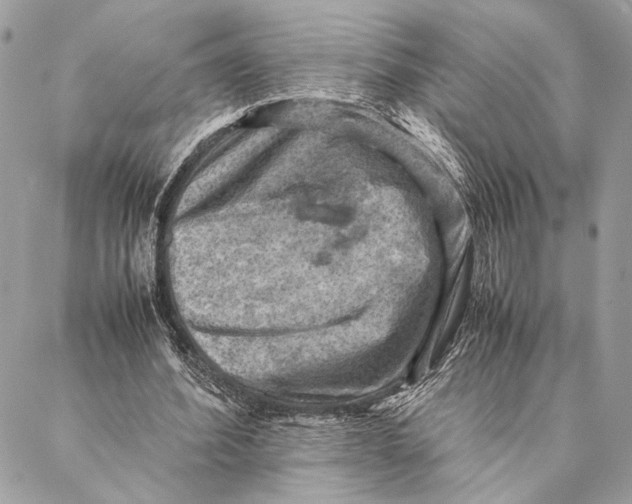 X0000086940580200705071420