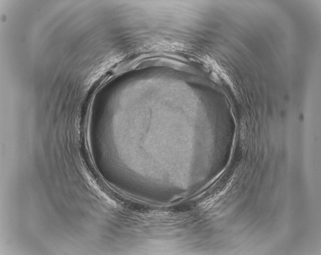 X0000086940581200705071420