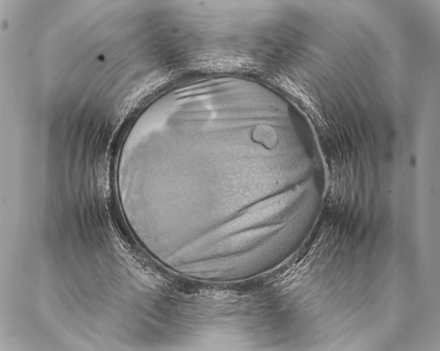 X0000086940582200705071420