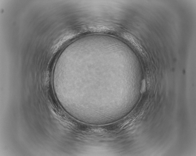 X0000086940583200705071420