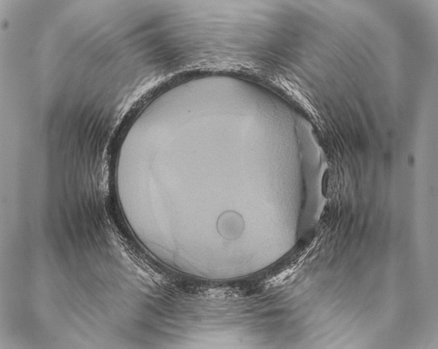 X0000086940584200705071420