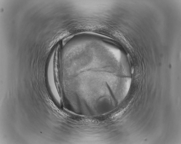 X0000086940585200705071420