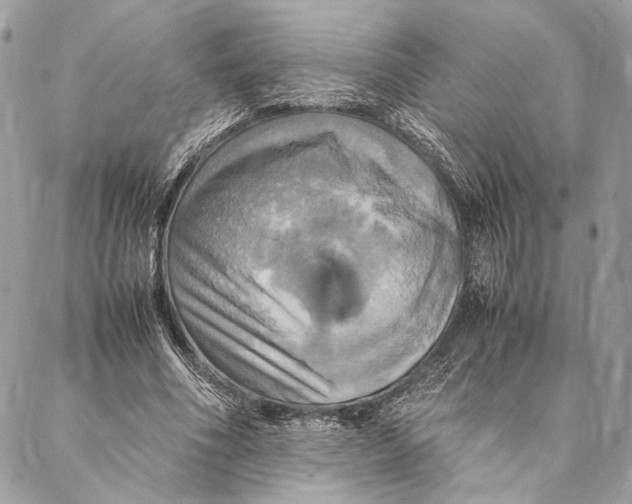 X0000086940586200705071420