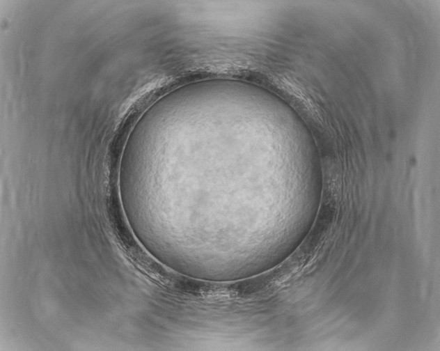 X0000086940587200705071420