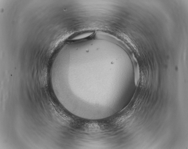 X0000086940588200705071420