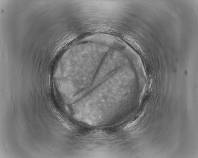 X0000086940589200705071420