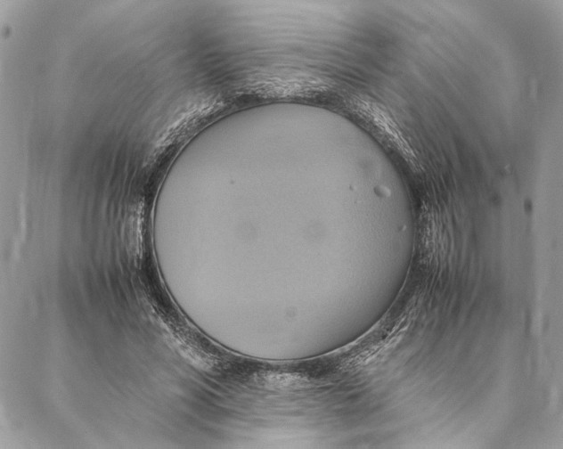 X0000086940590200705071420