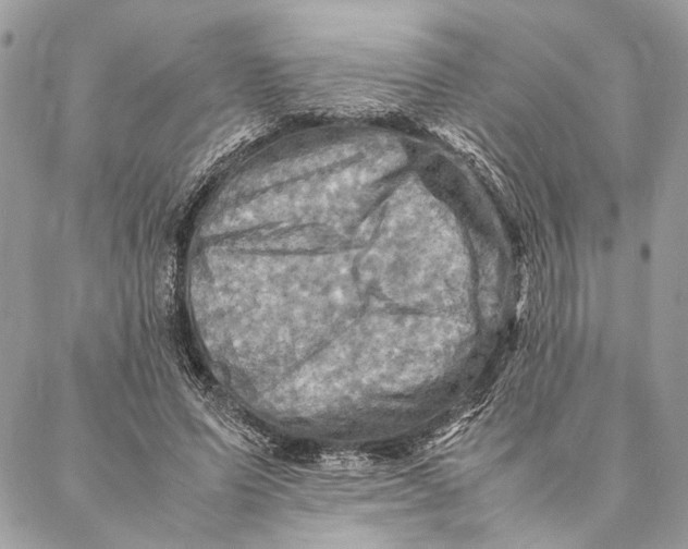 X0000086940591200705071420