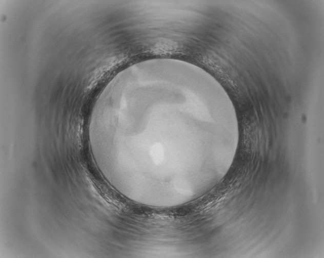 X0000086940592200705071420