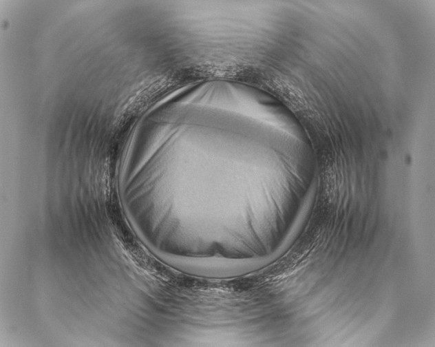 X0000086940594200705071420