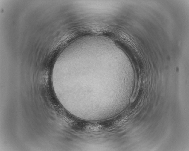 X0000086940595200705071420