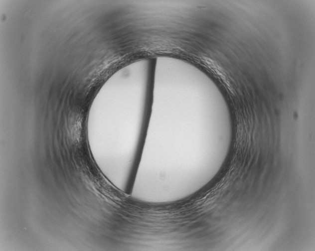 X0000086940596200705071420