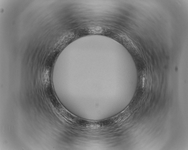 X0000086940598200705071420