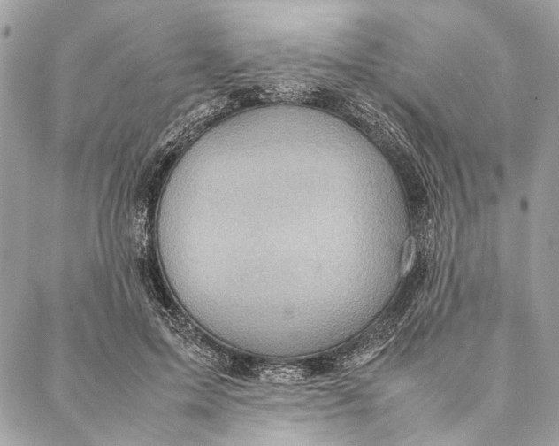 X0000086940599200705071420