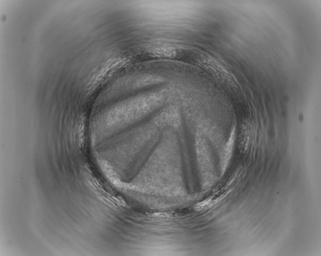 X0000086940600200705071420