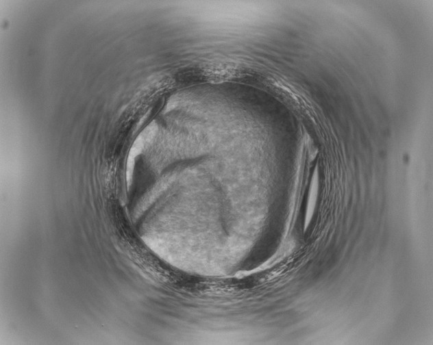 X0000086940601200705071420